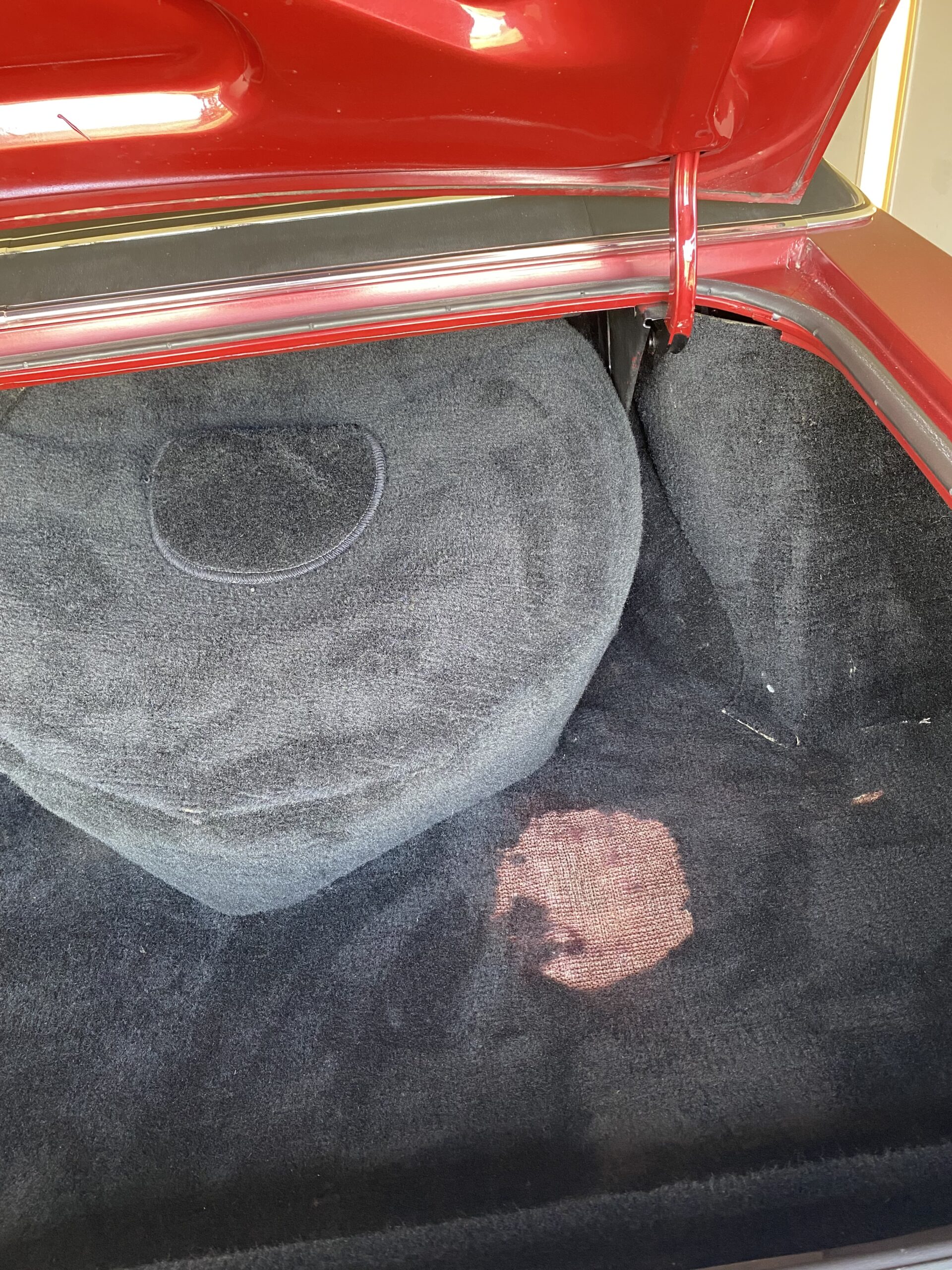 Photo 2024-04-15, 2 51 14 PM